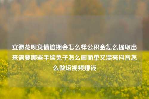 安徽花呗负债逾期会怎么样公积金怎么提取出来需要哪些手续兔子怎么画简单又漂亮抖音怎么做短视频赚钱