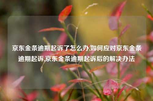 京东金条逾期起诉了怎么办,如何应对京东金条逾期起诉,京东金条逾期起诉后的解决办法