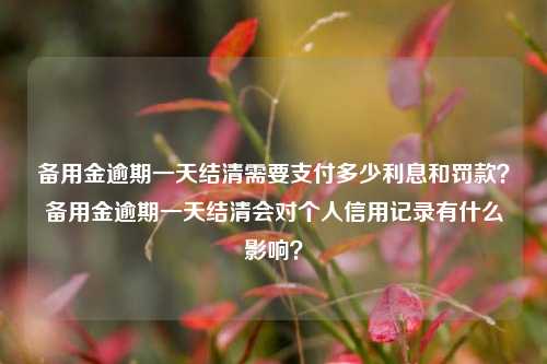 备用金逾期一天结清需要支付多少利息和罚款？备用金逾期一天结清会对个人信用记录有什么影响？