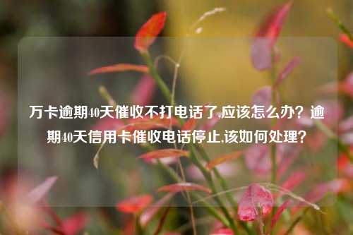 万卡逾期40天催收不打电话了,应该怎么办？逾期40天信用卡催收电话停止,该如何处理？