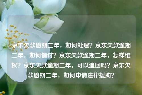 京东欠款逾期三年，如何处理？京东欠款逾期三年，如何催讨？京东欠款逾期三年，怎样维权？京东欠款逾期三年，可以追回吗？京东欠款逾期三年，如何申请法律援助？