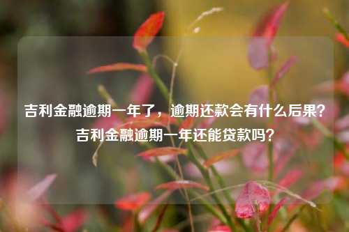 吉利金融逾期一年了，逾期还款会有什么后果？吉利金融逾期一年还能贷款吗？