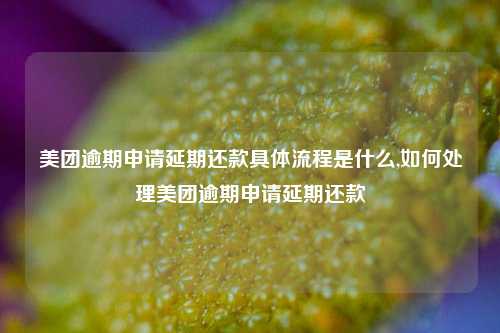 美团逾期申请延期还款具体流程是什么,如何处理美团逾期申请延期还款