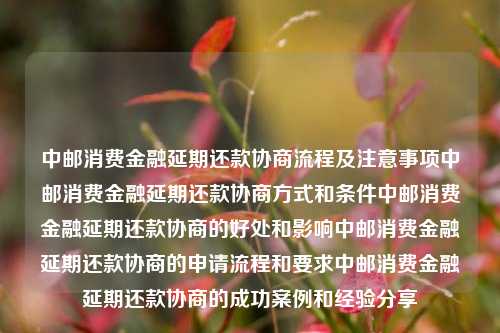 中邮消费金融延期还款协商流程及注意事项中邮消费金融延期还款协商方式和条件中邮消费金融延期还款协商的好处和影响中邮消费金融延期还款协商的申请流程和要求中邮消费金融延期还款协商的成功案例和经验分享