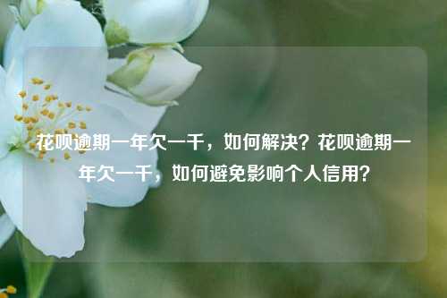 花呗逾期一年欠一千，如何解决？花呗逾期一年欠一千，如何避免影响个人信用？