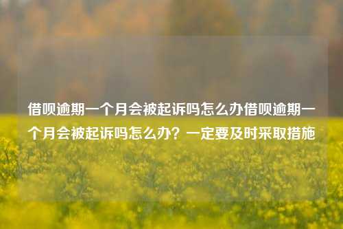 借呗逾期一个月会被起诉吗怎么办借呗逾期一个月会被起诉吗怎么办？一定要及时采取措施