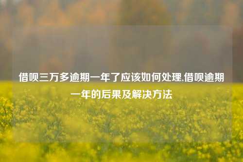 借呗三万多逾期一年了应该如何处理,借呗逾期一年的后果及解决方法