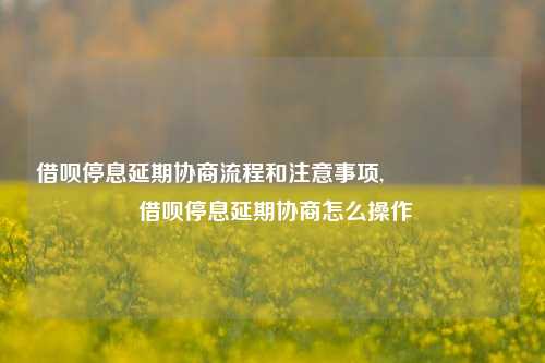 借呗停息延期协商流程和注意事项,                    借呗停息延期协商怎么操作