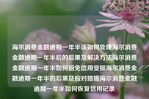 海尔消费金融逾期一年半该如何处理海尔消费金融逾期一年半后的后果及解决方法海尔消费金融逾期一年半如何避免信用受损海尔消费金融逾期一年半的后果及应对措施海尔消费金融逾期一年半如何恢复信用记录