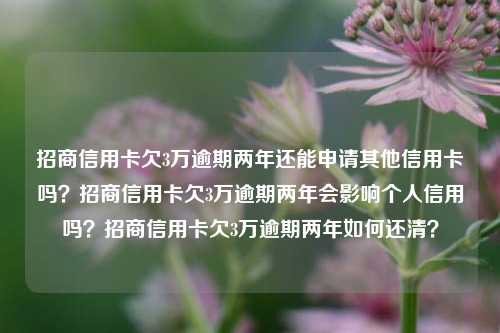 招商信用卡欠3万逾期两年还能申请其他信用卡吗？招商信用卡欠3万逾期两年会影响个人信用吗？招商信用卡欠3万逾期两年如何还清？