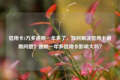 信用卡1万多逾期一年多了，如何解决信用卡逾期问题？逾期一年多信用卡影响大吗？