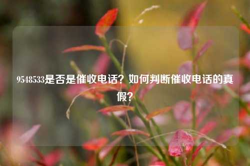 9548533是否是催收电话？如何判断催收电话的真假？