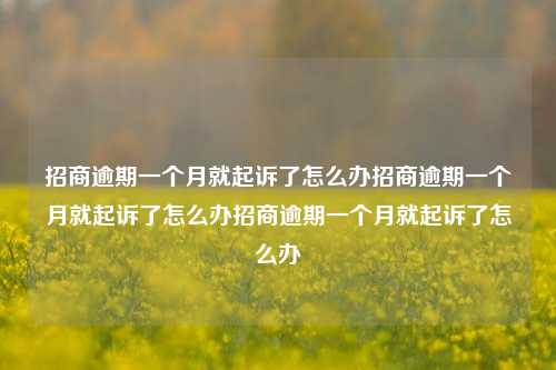 招商逾期一个月就起诉了怎么办招商逾期一个月就起诉了怎么办招商逾期一个月就起诉了怎么办