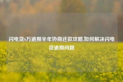 闪电贷6万逾期半年协商还款攻略,如何解决闪电贷逾期问题