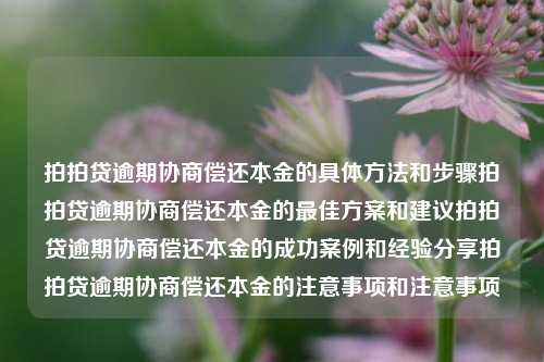 拍拍贷逾期协商偿还本金的具体方法和步骤拍拍贷逾期协商偿还本金的最佳方案和建议拍拍贷逾期协商偿还本金的成功案例和经验分享拍拍贷逾期协商偿还本金的注意事项和注意事项