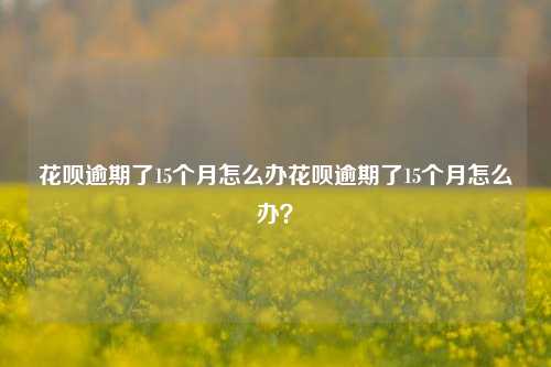 花呗逾期了15个月怎么办花呗逾期了15个月怎么办？