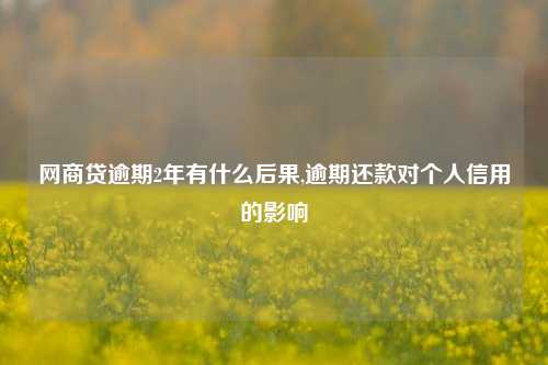 网商贷逾期2年有什么后果,逾期还款对个人信用的影响