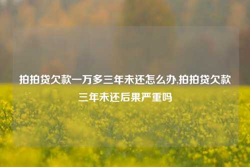 拍拍贷欠款一万多三年未还怎么办,拍拍贷欠款三年未还后果严重吗