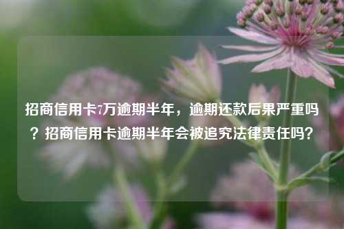 招商信用卡7万逾期半年，逾期还款后果严重吗？招商信用卡逾期半年会被追究法律责任吗？