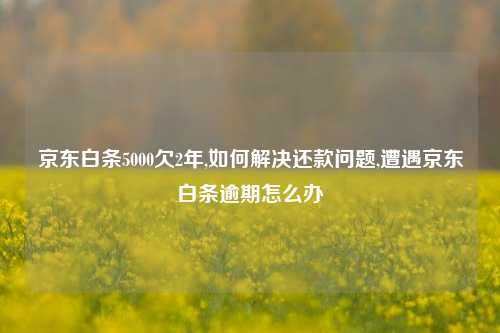 京东白条5000欠2年,如何解决还款问题,遭遇京东白条逾期怎么办