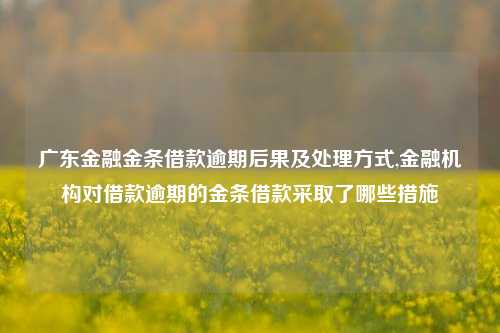 广东金融金条借款逾期后果及处理方式,金融机构对借款逾期的金条借款采取了哪些措施