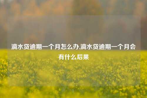 滴水贷逾期一个月怎么办,滴水贷逾期一个月会有什么后果