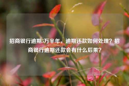 招商银行逾期5万半年，逾期还款如何处理？招商银行逾期还款会有什么后果？