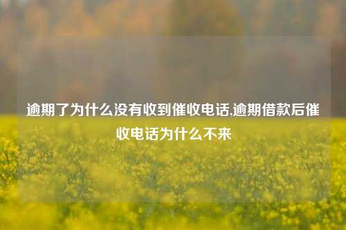 逾期了为什么没有收到催收电话,逾期借款后催收电话为什么不来