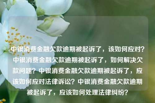 中银消费金融欠款逾期被起诉了，该如何应对？中银消费金融欠款逾期被起诉了，如何解决欠款问题？中银消费金融欠款逾期被起诉了，应该如何应对法律诉讼？中银消费金融欠款逾期被起诉了，应该如何处理法律纠纷？