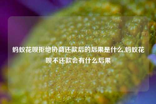 蚂蚁花呗拒绝协商还款后的后果是什么,蚂蚁花呗不还款会有什么后果