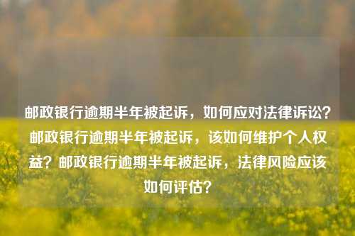 邮政银行逾期半年被起诉，如何应对法律诉讼？邮政银行逾期半年被起诉，该如何维护个人权益？邮政银行逾期半年被起诉，法律风险应该如何评估？