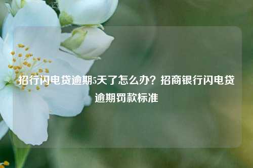 招行闪电贷逾期5天了怎么办？招商银行闪电贷逾期罚款标准