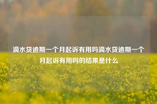 滴水贷逾期一个月起诉有用吗滴水贷逾期一个月起诉有用吗的结果是什么