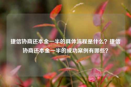 捷信协商还本金一半的具体流程是什么？捷信协商还本金一半的成功案例有哪些？