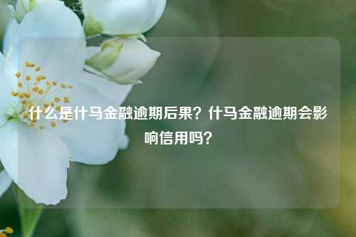 什么是什马金融逾期后果？什马金融逾期会影响信用吗？