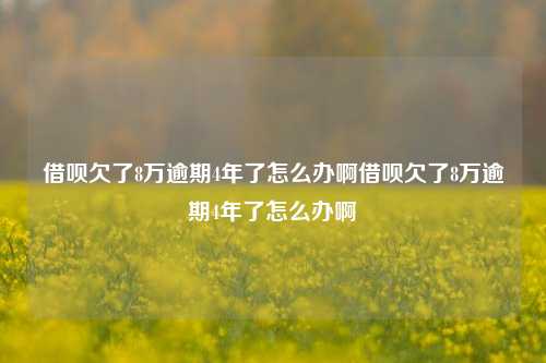 借呗欠了8万逾期4年了怎么办啊借呗欠了8万逾期4年了怎么办啊