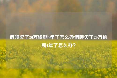 借呗欠了20万逾期4年了怎么办借呗欠了20万逾期4年了怎么办？