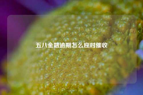 五八金融逾期怎么应对催收