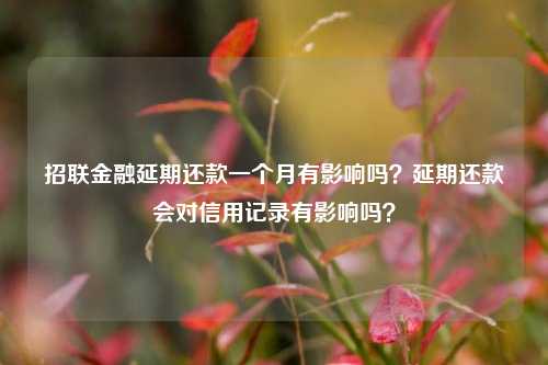 招联金融延期还款一个月有影响吗？延期还款会对信用记录有影响吗？