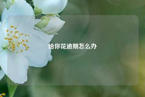 给你花逾期怎么办