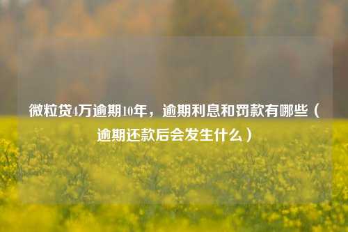 微粒贷4万逾期10年，逾期利息和罚款有哪些（逾期还款后会发生什么）