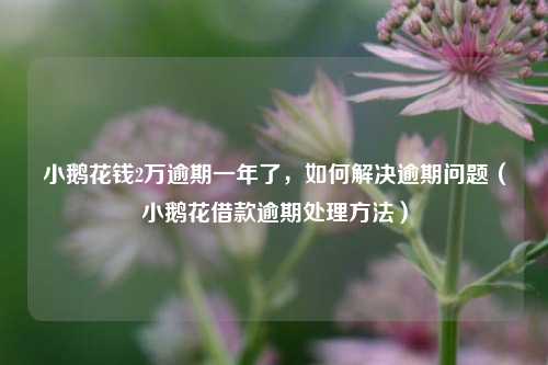 小鹅花钱2万逾期一年了，如何解决逾期问题（小鹅花借款逾期处理方法）