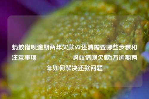 蚂蚁借呗逾期两年欠款6W还清需要哪些步骤和注意事项                    蚂蚁借呗欠款3万逾期两年如何解决还款问题