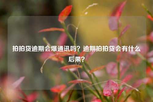 拍拍贷逾期会爆通讯吗？逾期拍拍贷会有什么后果？