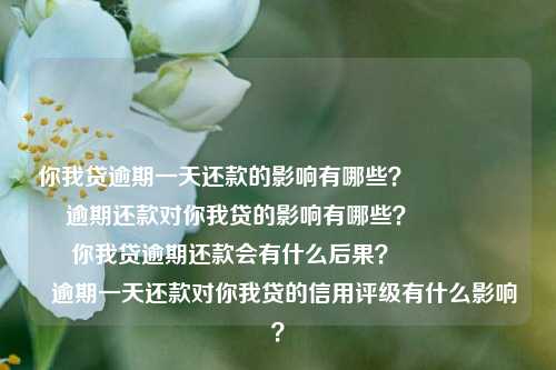 你我贷逾期一天还款的影响有哪些？                    逾期还款对你我贷的影响有哪些？                    你我贷逾期还款会有什么后果？                    逾期一天还款对你我贷的信用评级有什么影响？