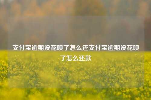 支付宝逾期没花呗了怎么还支付宝逾期没花呗了怎么还款