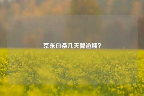 京东白条几天算逾期？