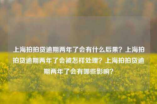 上海拍拍贷逾期两年了会有什么后果？上海拍拍贷逾期两年了会被怎样处理？上海拍拍贷逾期两年了会有哪些影响？