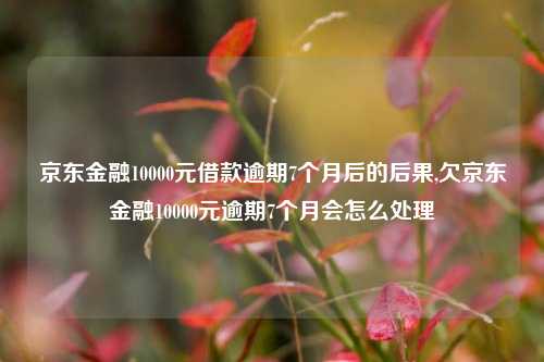 京东金融10000元借款逾期7个月后的后果,欠京东金融10000元逾期7个月会怎么处理