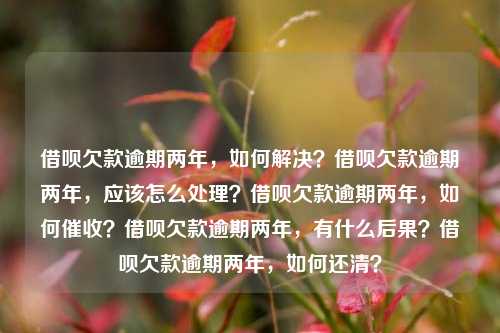 借呗欠款逾期两年，如何解决？借呗欠款逾期两年，应该怎么处理？借呗欠款逾期两年，如何催收？借呗欠款逾期两年，有什么后果？借呗欠款逾期两年，如何还清？